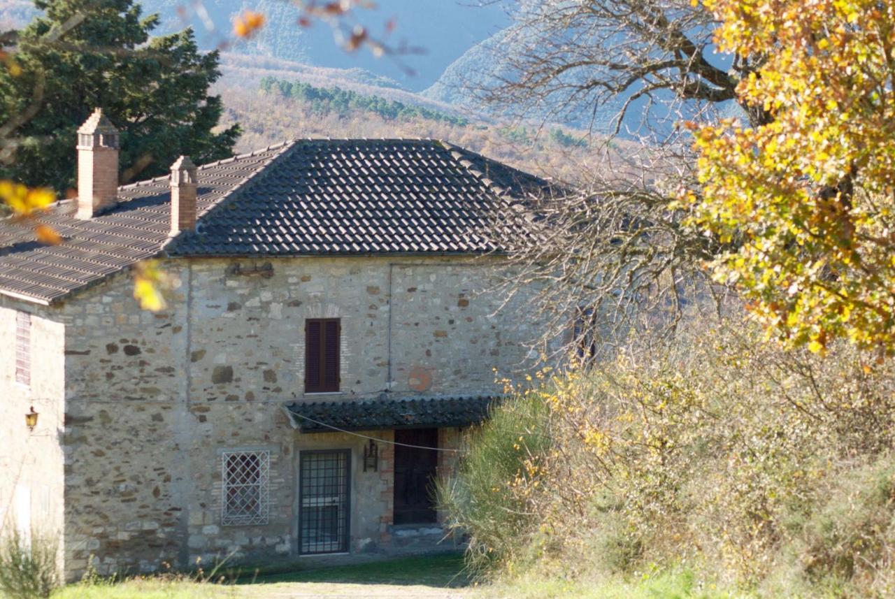 טודי Agriturismo La Malcontenta E Il Lupo מראה חיצוני תמונה
